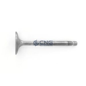 0267356 655395 valve in daf