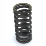 1284432 valve spring in daf