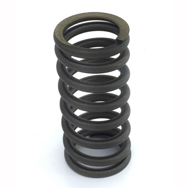 1284432 valve spring in daf