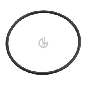 1291089 ORING, TRANSMISSION DAF