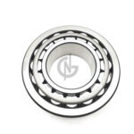 1313153 BEARING FAN DAF