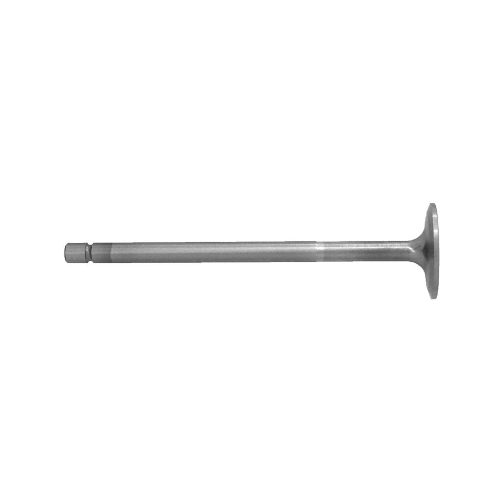 1345509 VALVE In scaled 1