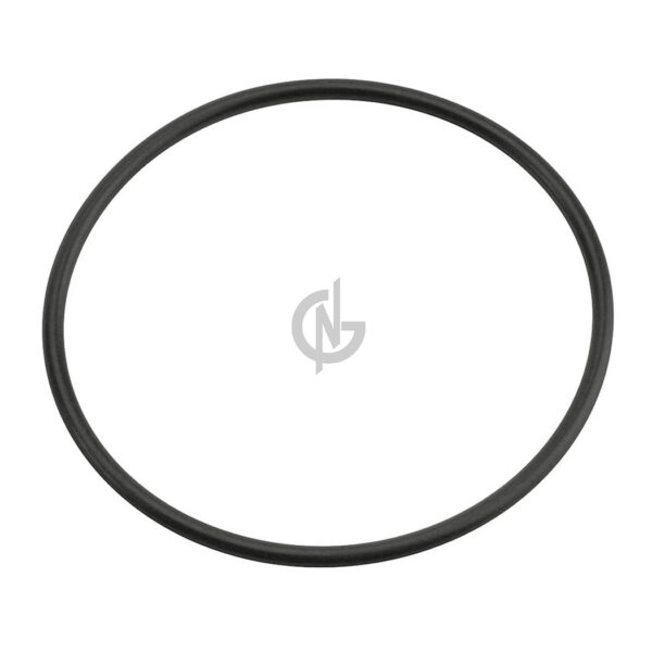 1352948 ORING OIL COOLER DAF XF95