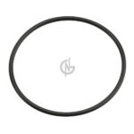 1398725 ORING WHEEL DAF XF CF