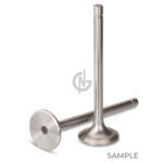 1434258 VALVE, INLET DAF CF EURO3,2