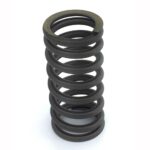 1610819 valve spring ex daf