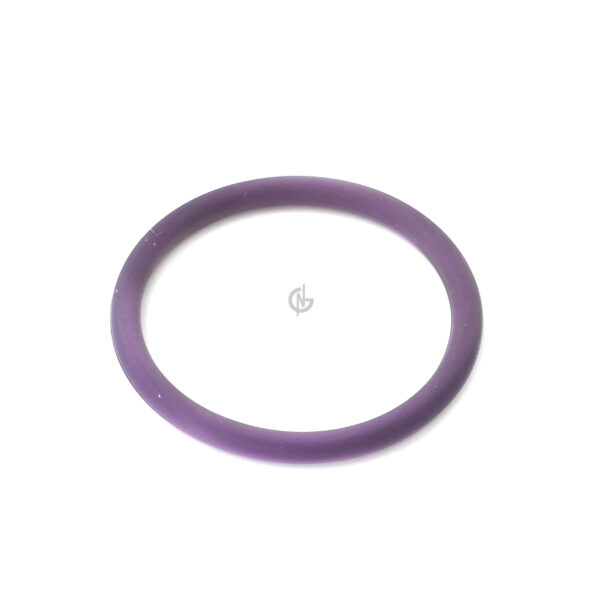 1638270 O RING INJECTOR DAF XF CF scaled 1