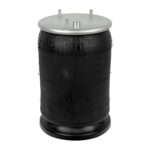 1698436 1529836 AIR SPRING DAF