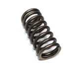 1813104 VALVE SPRING IN DAF PACCAR EURO5 TEMSA SAFIR 2