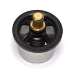 1861616 THERMOSTAT DAF EURO6 PACCAR MX 2