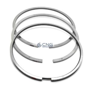 1873904 piston ring kit daf