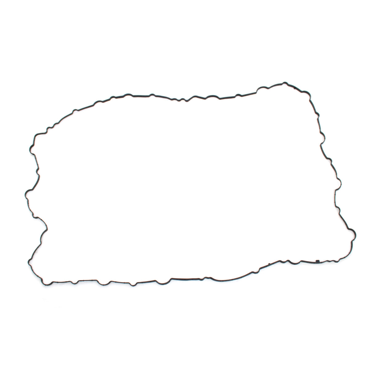 1900010 GASKET, VALVE COVER DAF EURO6 MX11 PACCAR - CNG Spares