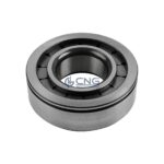 2148494 1291189 cylindrical bearing differential daf