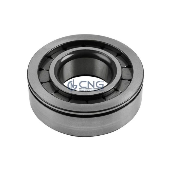 2148494 1291189 cylindrical bearing differential daf